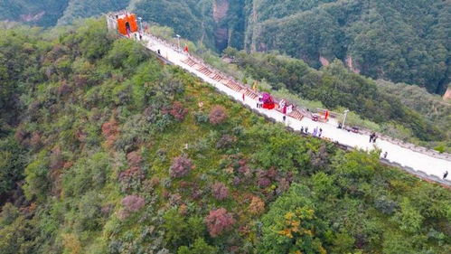 多彩假期 活力文旅 探索景區管理新路徑